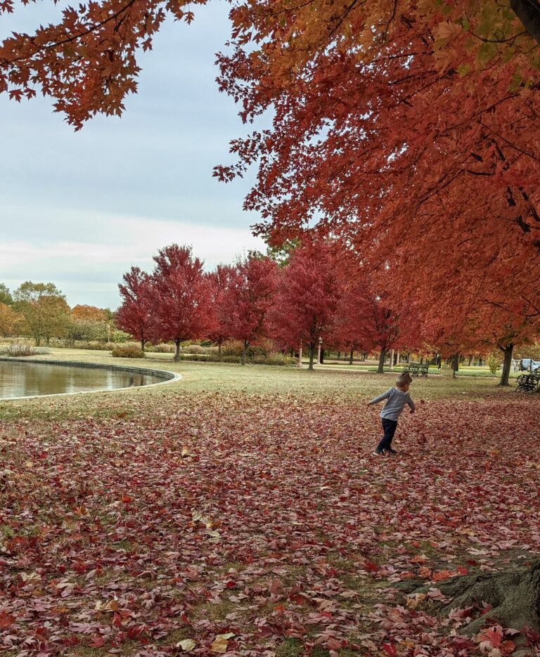 Outdoors and Mental Health: Why Getting Outside is Crucial